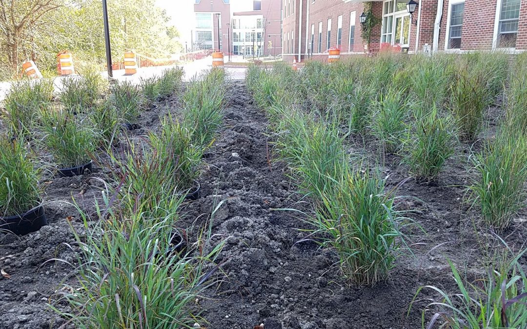 Hartwick Landscaping